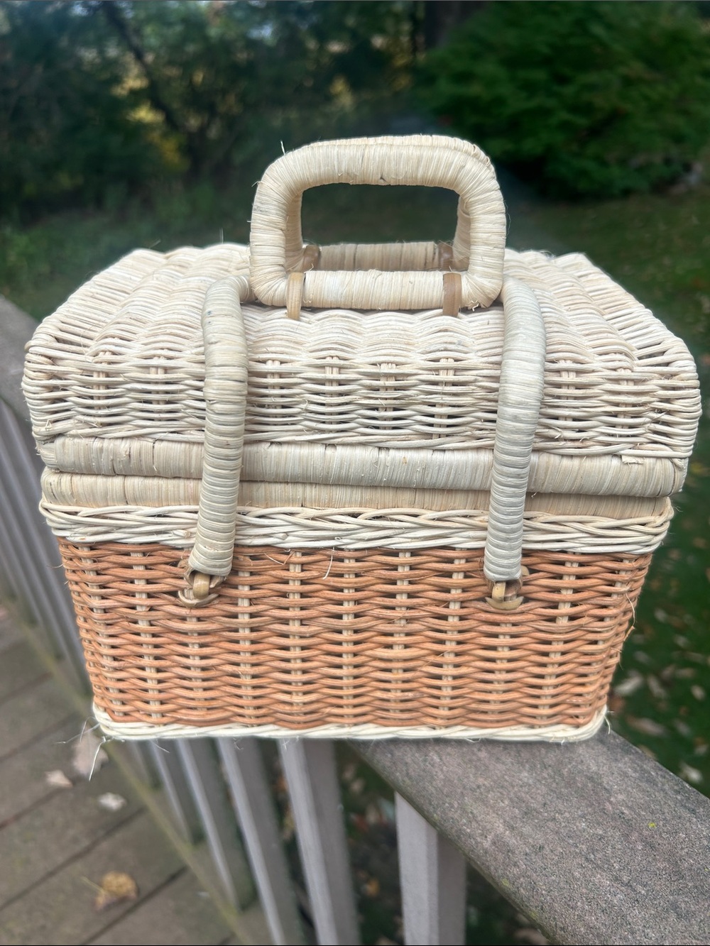 Vintage Wicker Purse/Pinic Basket with Lid - Natural Two-Tone